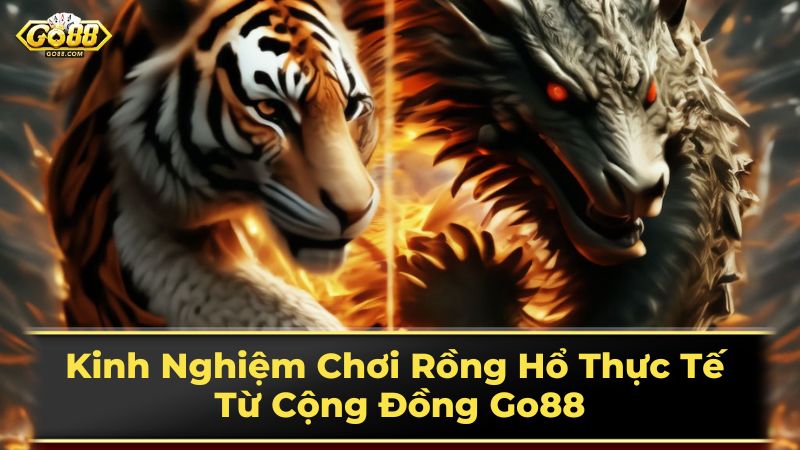 Luật chơi Rồng Hổ cơ bản